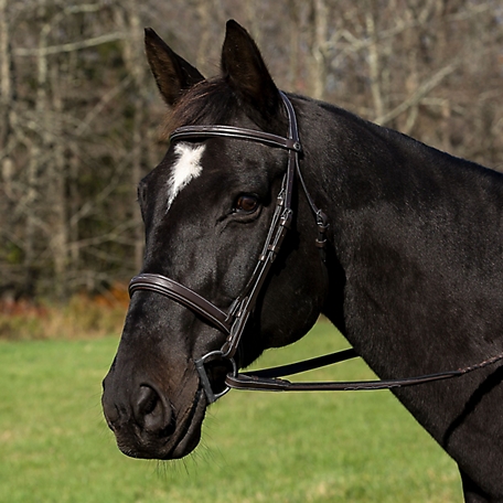 Henri de Rivel Pro Mono Leather Crown Bridle with Padded Wide Noseband and Laced Reins