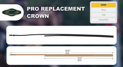 Image showing  Pro Replacement Crown