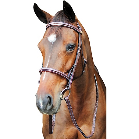 Henri de Rivel Pro Fancy-Stitched Raised Comfort Crown Padded Bridle with Reins