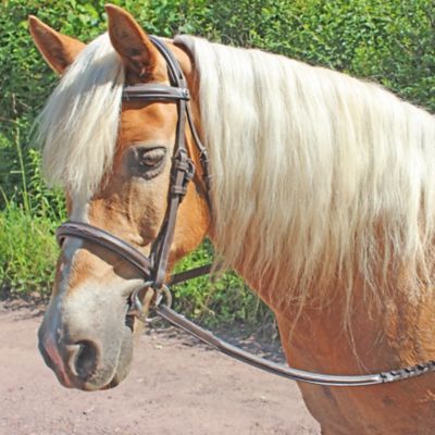Henri de Rivel Pro Fancy-Stitched Raised Comfort Crown Padded Bridle with Reins