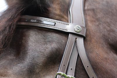 Image showing  Pro Piaffe Mono Crown Bridle with Flash Noseband and Patent Leather/Webbed Rubber Reins/Leather Stops