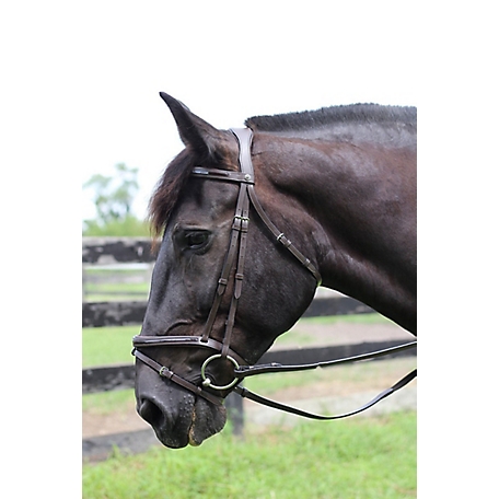 Henri de Rivel Pro Piaffe Mono Crown Bridle with Flash Noseband and Patent Leather/Webbed Rubber Reins/Leather Stops