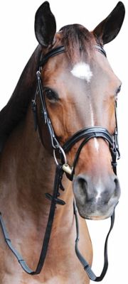 Henri de Rivel Pro Piaffe Mono Crown Bridle with Flash Noseband and Patent Leather/Webbed Rubber Reins/Leather Stops