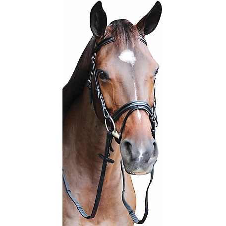 Henri de Rivel Pro Piaffe Mono Crown Bridle with Flash Noseband and Patent Leather/Webbed Rubber Reins/Leather Stops