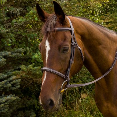 Henri de Rivel Advantage Horse Fancy Raised Padded Bridle with Laced Reins
