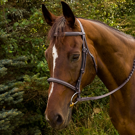 Henri de Rivel Advantage Horse Fancy Raised Padded Bridle with Laced Reins