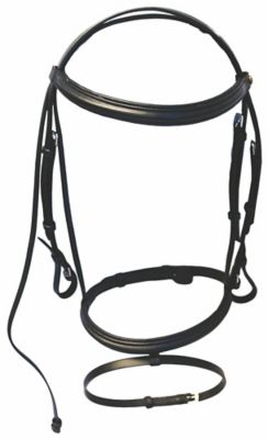 Henri de Rivel Pro Padded Dressage Bridle with Flash and Web Reins