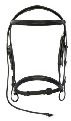 Image showing  Pro Padded Dressage Bridle with Web Reins