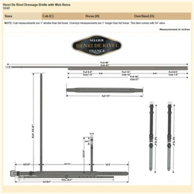 Image showing 5 th Henri de Rivel Pro Padded Dressage Bridle with Web Reins