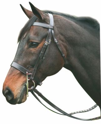 Henri de Rivel Advantage Hunter Bridle