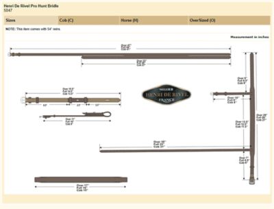 Image showing 4 th Henri de Rivel Advantage Hunter Bridle