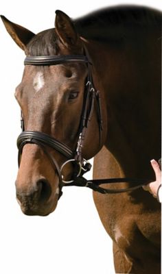 Henri de Rivel Pro Padded Raised Dressage Bridle with Crank Flash Noseband and Web Reins