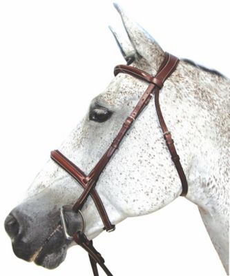 Henri de Rivel Pro Mono Crown Padded Bridle, Horse,Australian Nut at ...