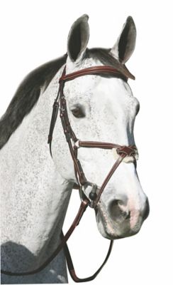 Image showing  Pro Mono Crown Raised Figure-8 Bridle with Rubber Reins