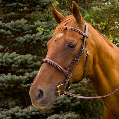 Image showing  Pro Mono Crown Fancy-Stitched Padded English Bridle