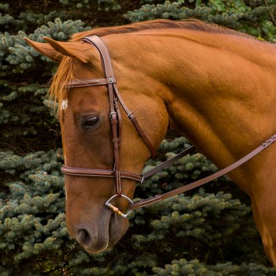Image showing  Pro Mono Crown Fancy-Stitched Padded English Bridle