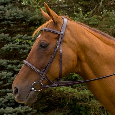 Henri de Rivel Pro Mono Crown Fancy-Stitched Padded Bridle