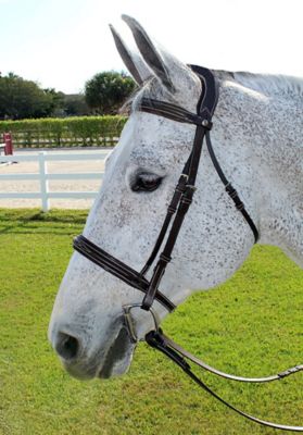 Image showing  Pro Mono Crown Fancy-Stitched Bridle with Patent Leather Piping and Laced Reins