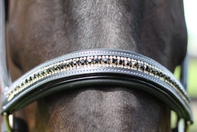 Image showing  Padded Jewel Horse Halter