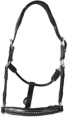 Henri de Rivel Padded Crystal Horse Halter