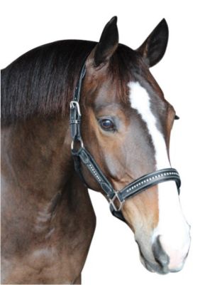Image showing  Padded Crystal Horse Halter