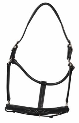 Henri de Rivel Pro Fancy Padded Rolled Throat Triple-Stitched Horse Halter