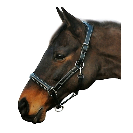 Henri de Rivel Stress-Free Horse Halter with Fancy Contrast Stitching