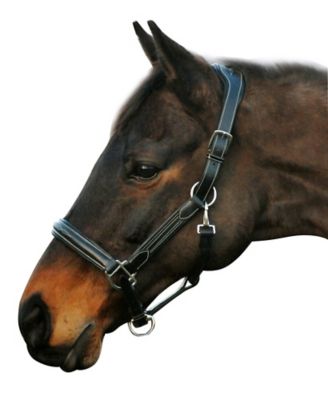 Henri de Rivel Stress-Free Horse Halter with Fancy Contrast Stitching