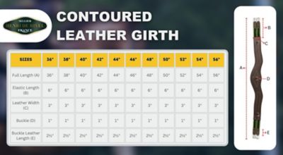 Image showing  Contoured Leather Girth, 2463