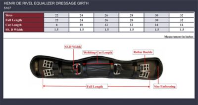 Image showing  Equalizer Dressage Girth, 5107
