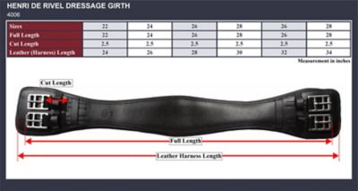 Image showing  Dressage Girth