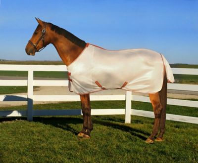 TuffRider Sport Mesh Horse Fly Sheet