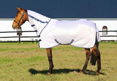 Image showing  Sport 190g Mesh Combo Horse Fly Sheet with Neck