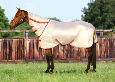 Image showing  Sport 190g Mesh Combo Horse Fly Sheet with Neck