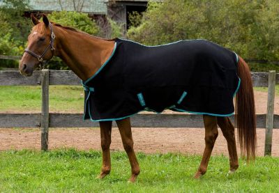 Image showing  Cooler Horse Sheet