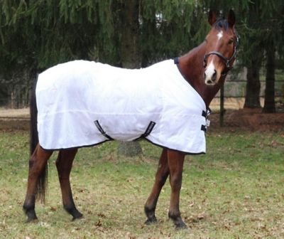 Image showing  130g Comfy Mesh Horse Fly Sheet, White