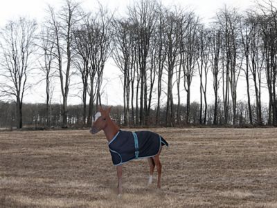 TuffRider 1200D Polyester Adjustable Foal Turnout Blanket