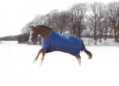 TuffRider 1200D Horse Pattern 2-Tone Pony Turnout Blanket with