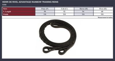 Image showing  Advantage Training Reins, Rainbow