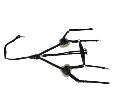 Product TrademarkColor1