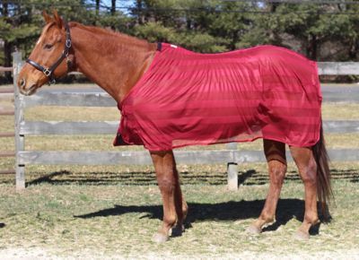 TuffRider Horse Fly Scrim Sheet