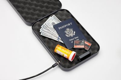 Image showing  XL Handgun Lockbox. Secure Storage for Handguns or Other Items