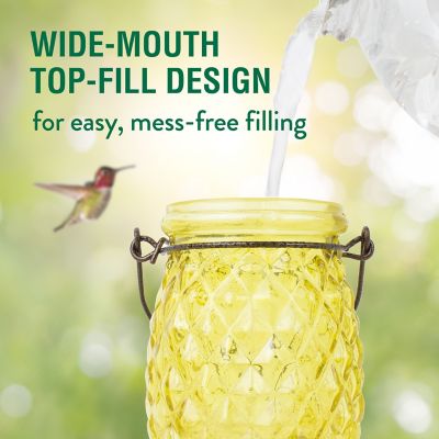 Image showing  Pineapple Top-Fill Glass Hummingbird Feeder, 28 oz. Capacity