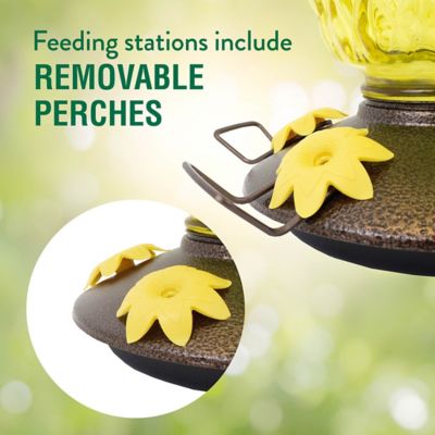 Image showing  Pineapple Top-Fill Glass Hummingbird Feeder, 28 oz. Capacity