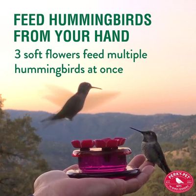Image showing  2 oz. Handheld and Tabletop Hummingbird Feeder