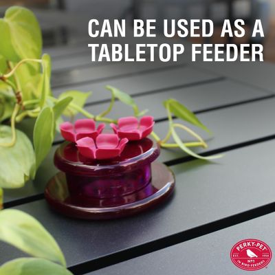 Image showing  2 oz. Handheld and Tabletop Hummingbird Feeder