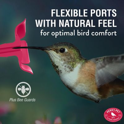 Image showing  2 oz. Handheld and Tabletop Hummingbird Feeder