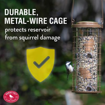 Image showing  3 lb. Squirrel Stumper Hanging Bird Feeder