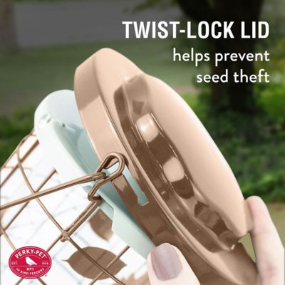 Image showing  3 lb. Squirrel Stumper Hanging Bird Feeder