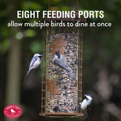 Image showing  3 lb. Squirrel Stumper Hanging Bird Feeder